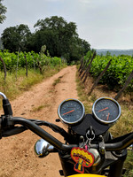 An off road ride by the mulberry farms of rural Tamil Nadu