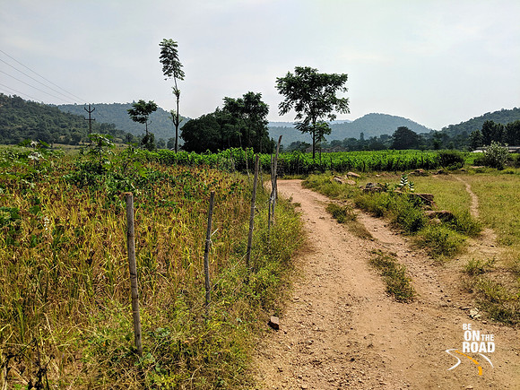 Riding through the mulberry farms of rural Tamil Nadu