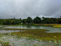 Lake in front of Sonda Vadiraja Mutt