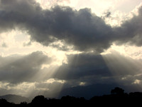 DSC08372