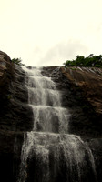 DSC00530