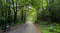 Lush motorcycle highway between Sullia in Karnataka and Kasargod in Kerala
