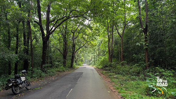 Lush motorcycle highway between Sullia in Karnataka and Kasargod in Kerala