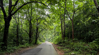 Lush Kerala highway during the monsoons