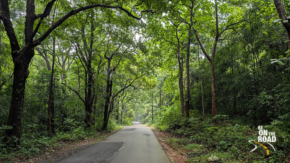Lush Kerala highway during the monsoons