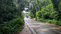 Lush green highways of Kerala