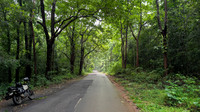 Gorgeous motorcycle route during the monsoons in Kerala