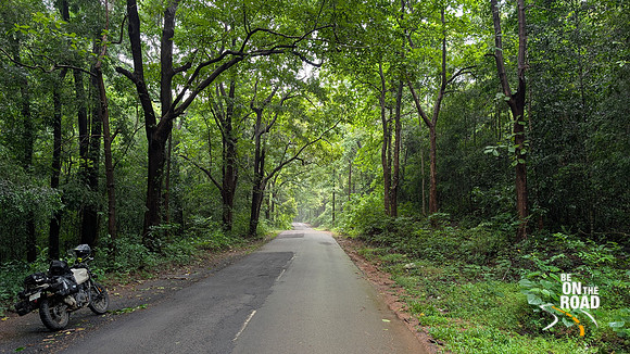 Gorgeous motorcycle route during the monsoons in Kerala