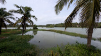 Bekal Village Homestay located by the Bekal river