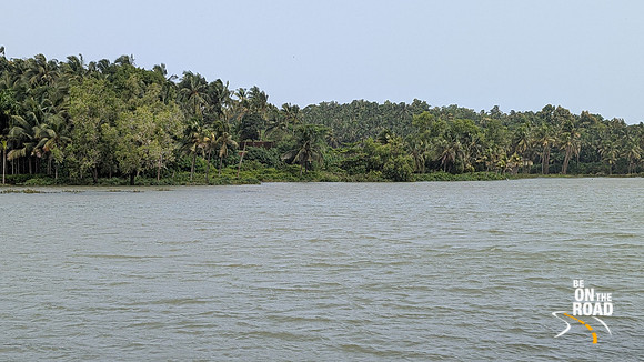 Beautiful river of the coconut groves by the Bekal river as seen from the Bekal Village Homestay, Bekal, Kerala