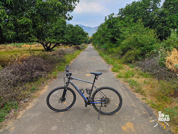 Pit stop amidst mango orchards of Manimuthar