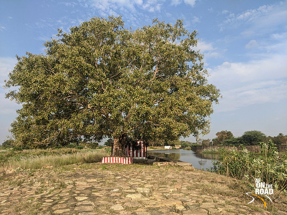The temple at the start of the Kannadigan canal at Kallidaikurichi Anaicut