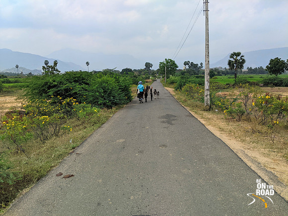 Country scenes - Road to Manimuthar Dam