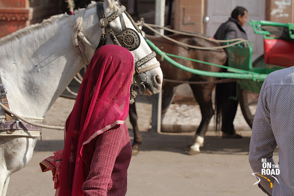 A Bikaner street moment
