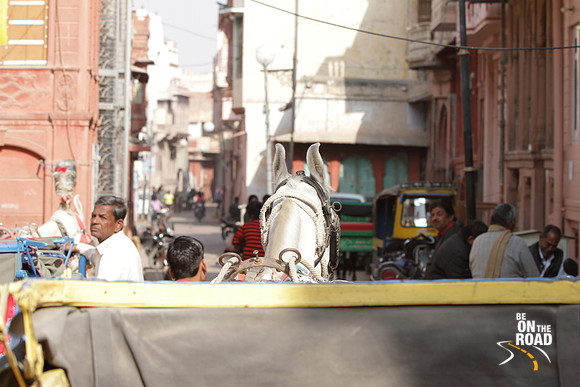 A horse's view of Bikaner's merchant trail