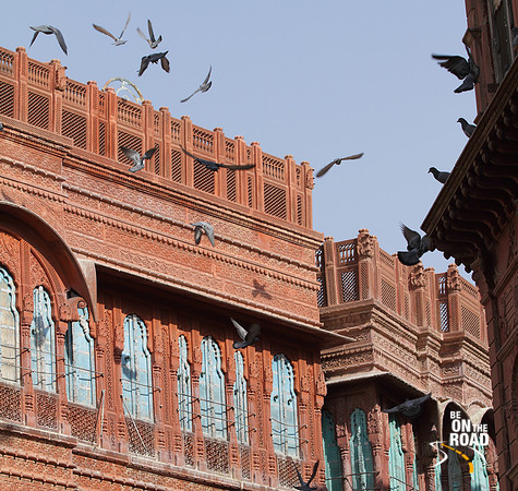 Pigeons fluttering in the breeze amidst the famous Rampuria Havelis of Bikaner, Rajasthan