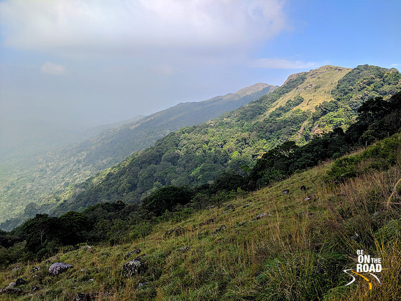 Shola forests seen enroute to Ponmudi hill station of Kerala