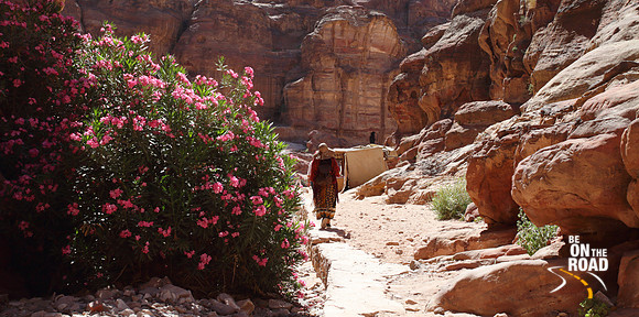 A walk through the rocks of Petra, Jordan