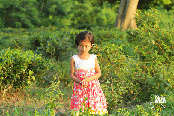 Sonia, a mishing tribe girl amidst the local tea gardens, Assam