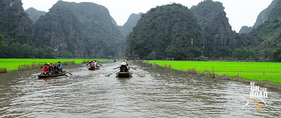Tam Coc river flanked by paddy fields on either side, Ninh Binh, Vietnam