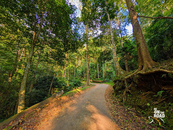 Dense motorcycling route inside Shendurney Wildlife