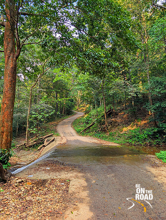 Nature galore inside Shendurney Wildlife Sanctuary, Kerala
