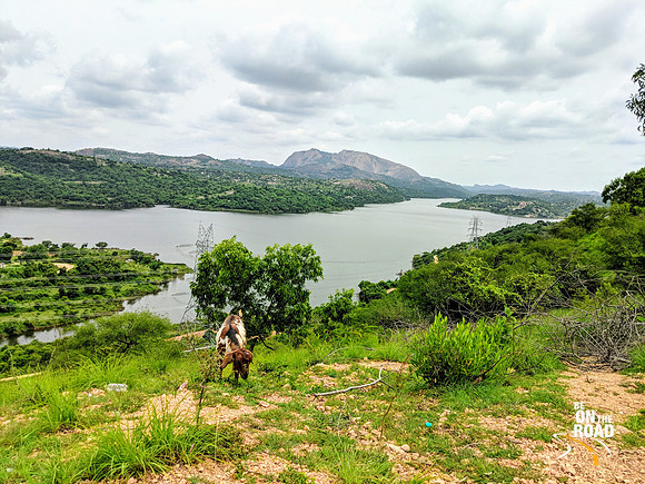 A lush green Manchinebele Dam view