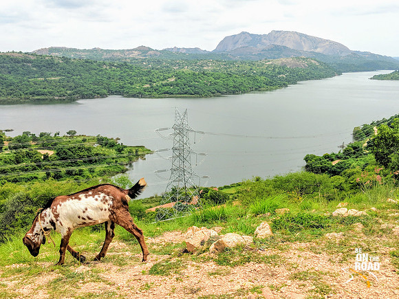 A moment from Manchinebele Dam, Karnataka