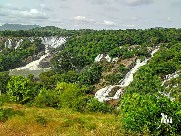 Lush green surroundings at Barachukki Falls, Karnataka