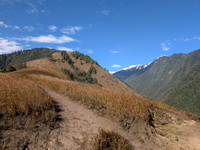 The trekking trail at Emoli Grasslands, Arunachal Pradesh
