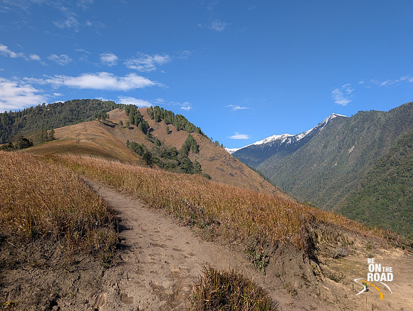 The trekking trail at Emoli Grasslands, Arunachal Pradesh
