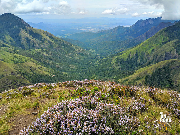 The Neelakurinji view of Yellapatty, Kerala