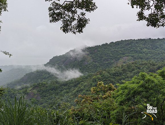 Mist covered Manjolai hills of Tamil Nadu