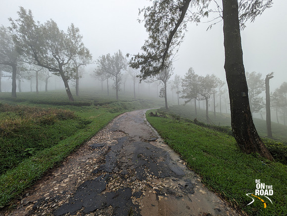 Mist covered Manjolai tea estates during the monsoon