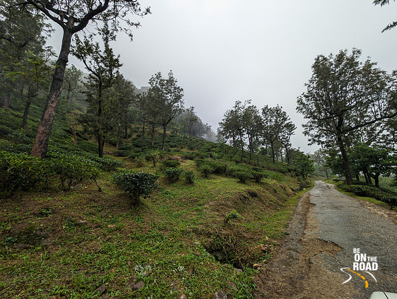 Road connecting Manjolai to Kakkachi