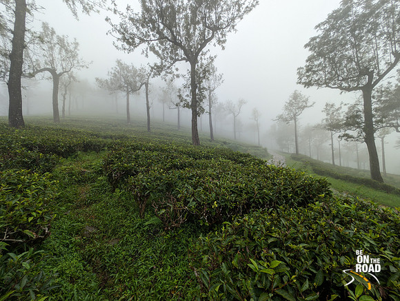 Surreal Mist Covered view of Manjolai hill station