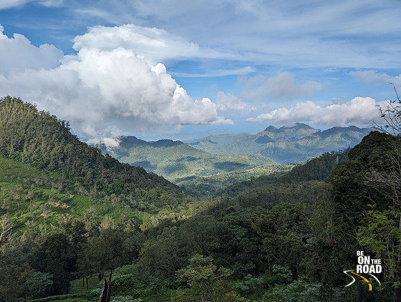 Tea Estates and forests of Kalakad Mundanthurai Tiger Reserve at Manjolai