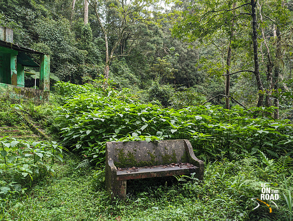 Dense forest at Nalmukku, Kalakad Mundanthurai Tiger Reserve
