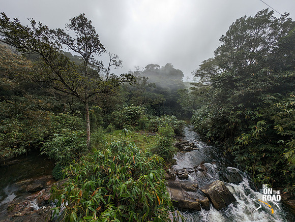 Pristine nature at the Iron bridge enroute to Nalmukku from Oothu
