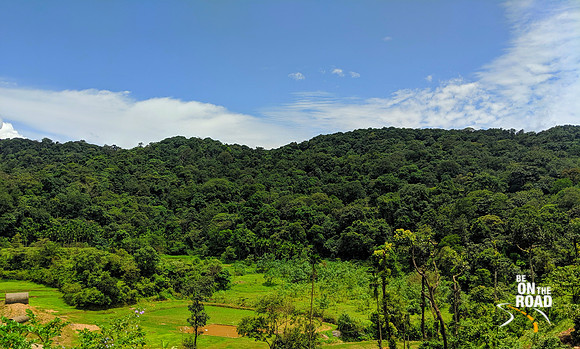 Dense forests seen all through Malnad, Karnataka
