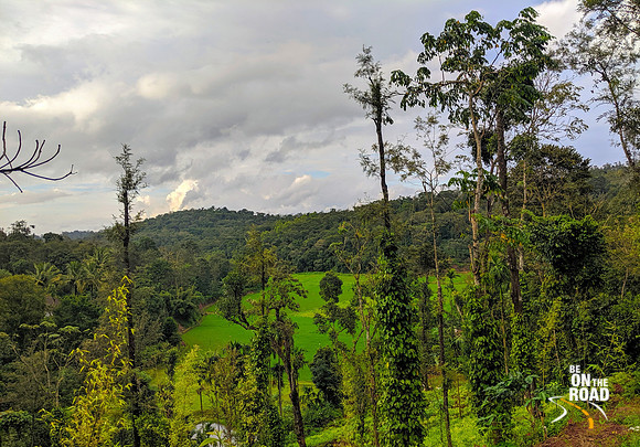 Paddy fields, spice gardens, coffee estates and Brahmagiri forests all share one ecosystem in South Coorg