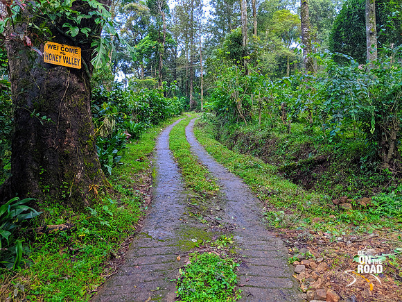 The road that leads to Honey valley Estate, Coorg