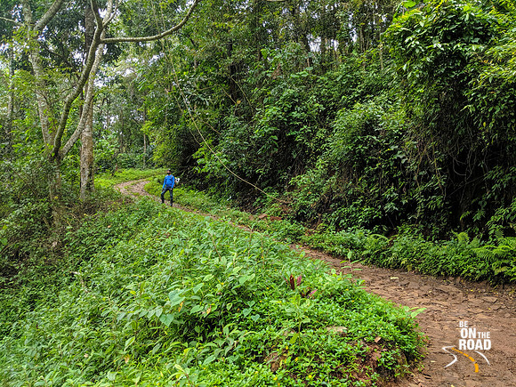 The beautiful walk to Chingara falls
