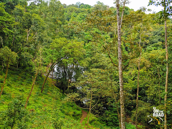 Pristine untouched environment - Chingara waterfalls