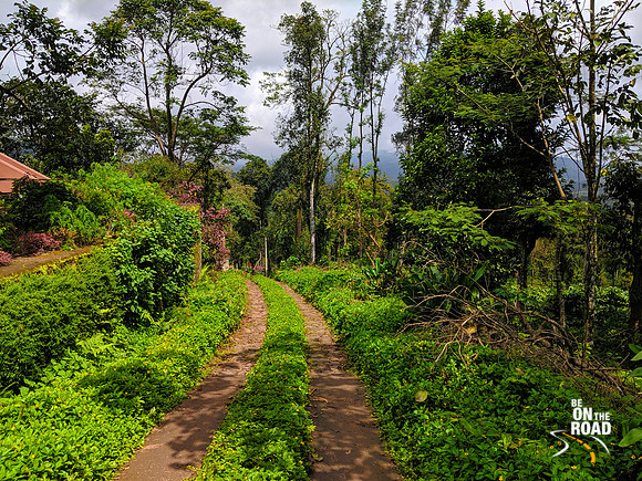 The jeep track in front of Chingara Estate