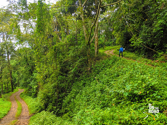 The route that leads to Chingara estate, Honey valley estate and Tadiyendamol peak