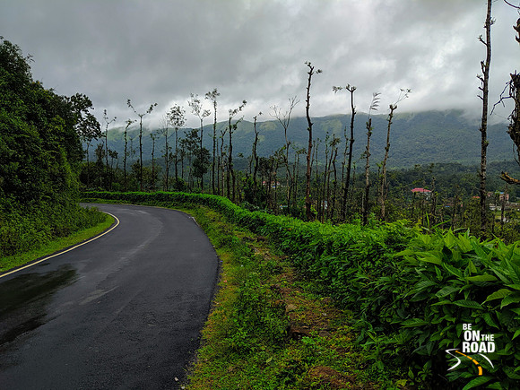 A freshly rained off road from Bhagamandala to Talacauvery