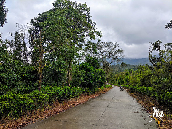 Admiring the monsoon scenes during a ride to Igguthappa temple, Coorg
