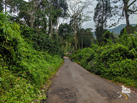 Roads of South Coorg are a joy to ride through during the monsoons