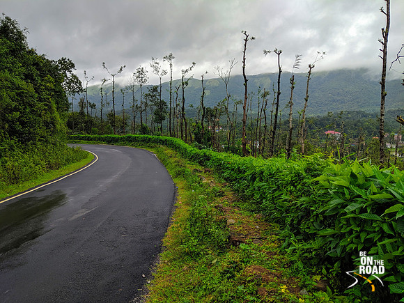The pristine route from Bhagamandala to Talacauvery wildlife sanctuary
